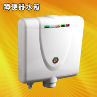冲水阀 环保水箱 厕所节能 蹲便器水箱卫生间双按按钮 挂墙式